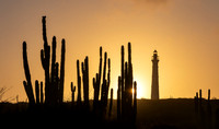 Aruba 2019-163