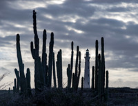 Aruba 2019-67