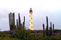 California Lighthouse With Cactus