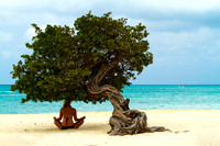 Meditating Under Divi Tree