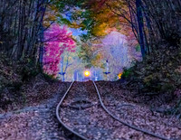 ESSEX DINNER TRAIN IN FOILAGE