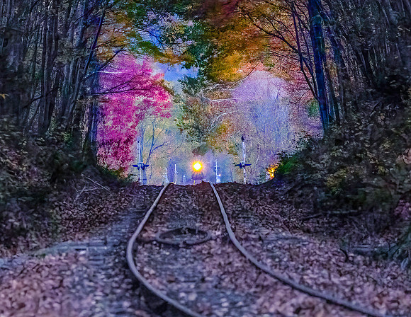 ESSEX DINNER TRAIN IN FOILAGE