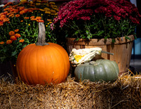 AUTUMN HARVEST