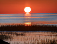TWILIGHT AT PAINS CREEK