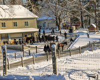 AMISH GATHERING
