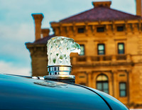 HOOD ORNAMENT