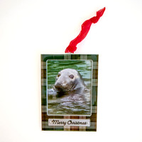 GRAY SEAL MERRY CHRISTMAS