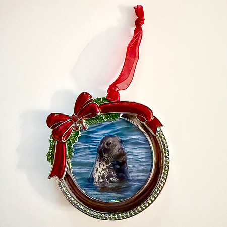 LEOPARD SEAL ROUND WITH RED BOW