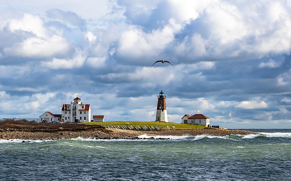 Point Judith Light With Seagull
