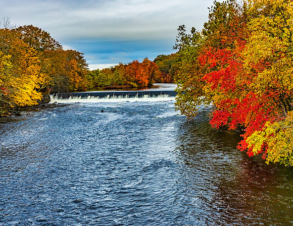 Waterfall Foliage