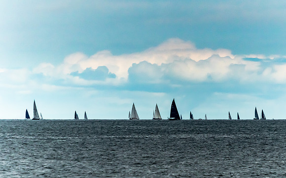 Newport Sail