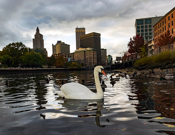 Swan River