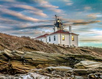 Beavertail in Winter
