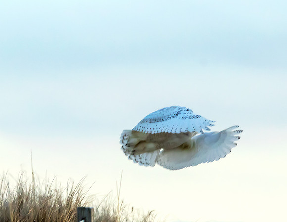 West Dennis Beach in Flight